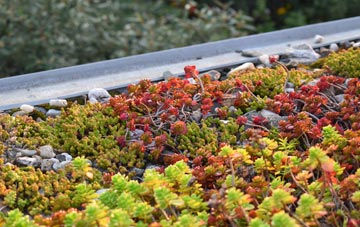 the cost of Lugate green roof installation