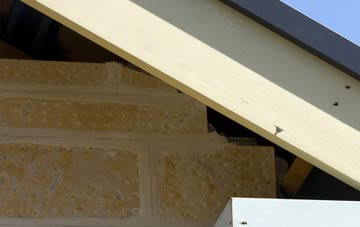 soffit repair Lugate